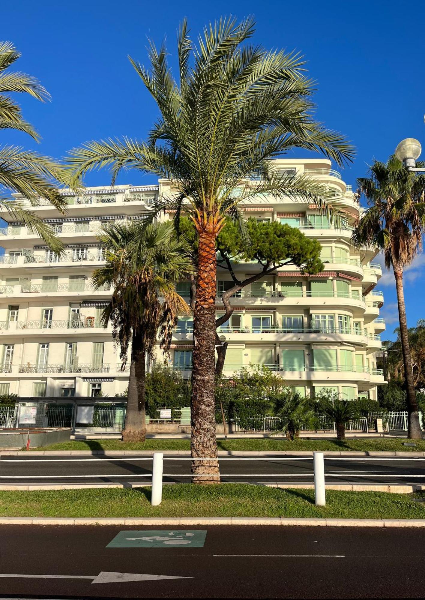 Nice 115 By The Sea Esterno foto