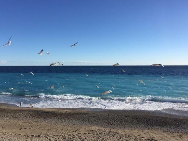 Nice 115 By The Sea Esterno foto